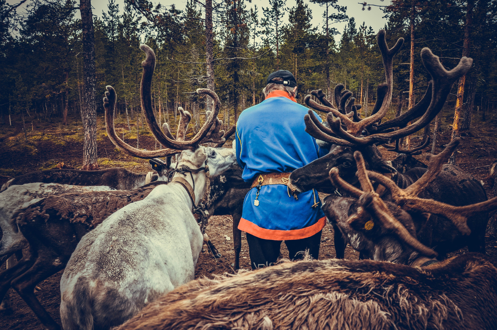 En same tillsammans med renar