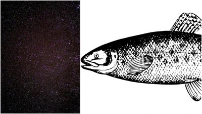 Ett kollage på rymden och en lax